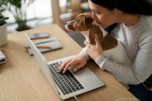 mujer sentada buscando en el ordenador con su perro en brazos información sobre el bono social de gas